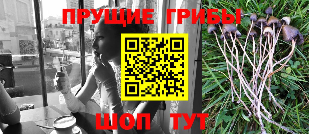 Псилоцибиновые грибы MAGIC MUSHROOMS  Вход с VPN  Учалы 