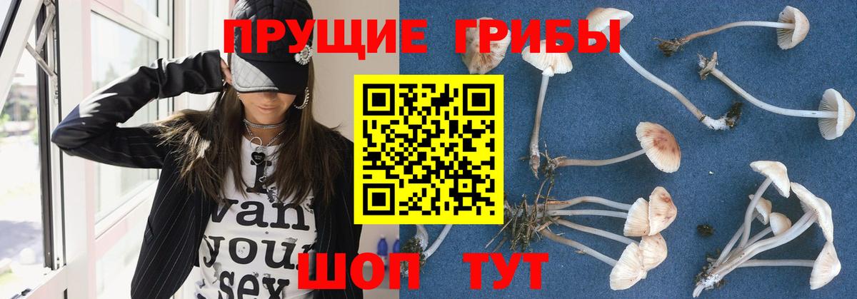 Псилоцибиновые грибы мицелий Учалы